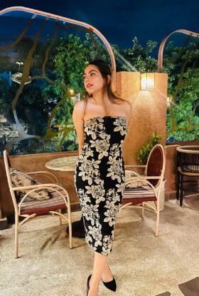 indian escort service