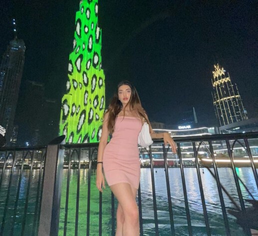 Dubai Celebrity Escort